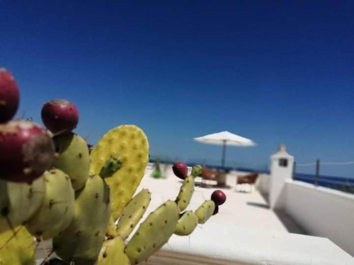 Marina Villa Marittima Eksteriør billede