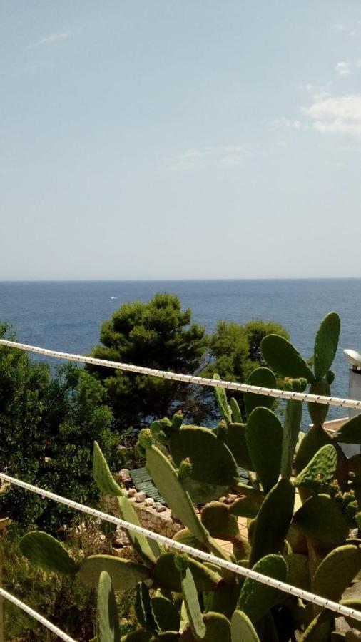 Marina Villa Marittima Eksteriør billede