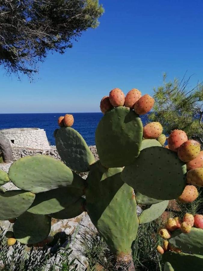 Marina Villa Marittima Eksteriør billede